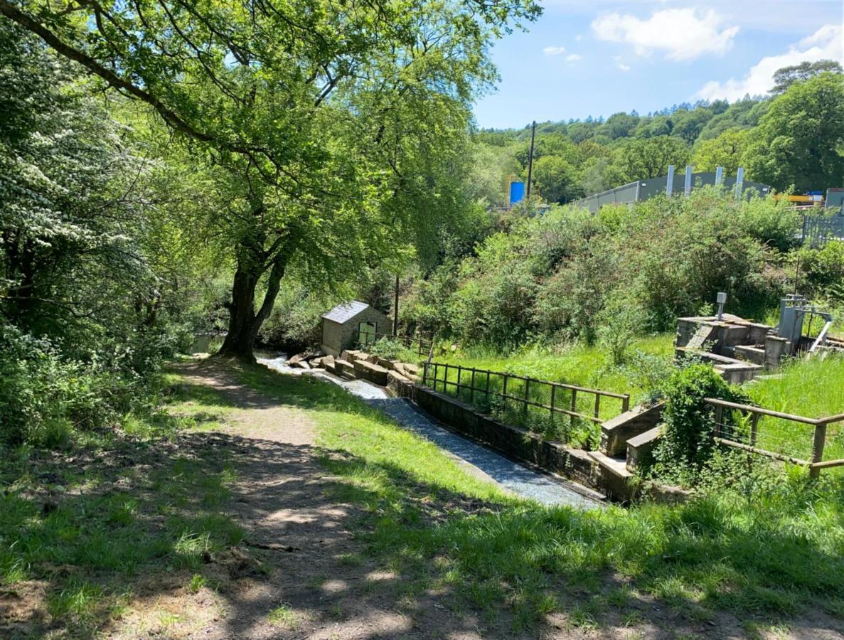 Old Co Op House -Forest Of Dean Bream Esterno foto